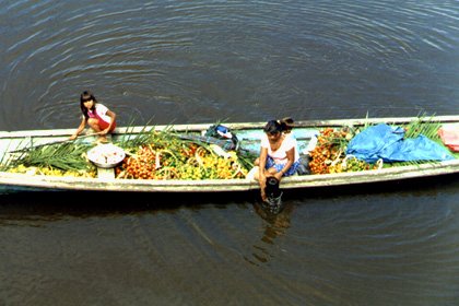 Amazonas - Brasil