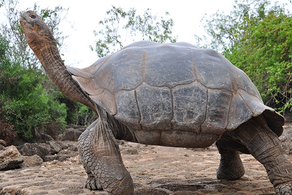 Islas Galápagos, Ecuador